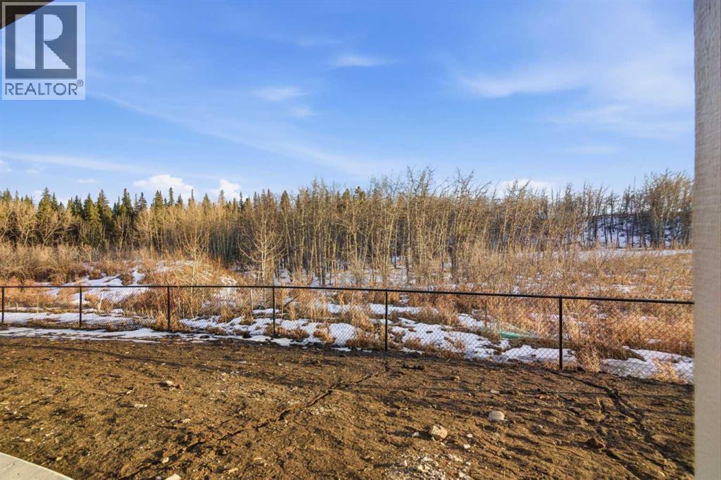 192 Creekstone Hill Sw, Calgary, Alberta  T2X 5G5 - Photo 31 - A2288889