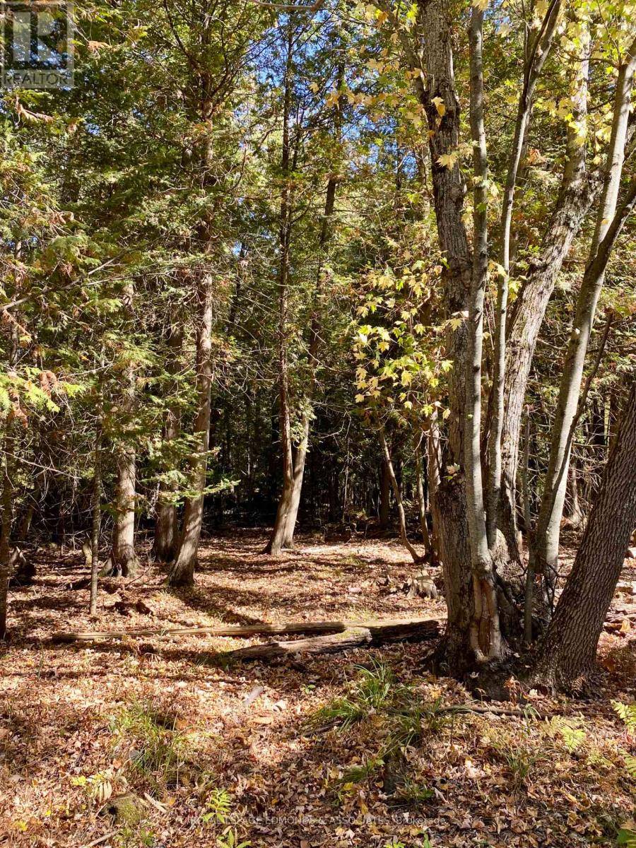 418 Forest Park Road, Laurentian Valley, Ontario  K8A 6W2 - Photo 37 - X12538776