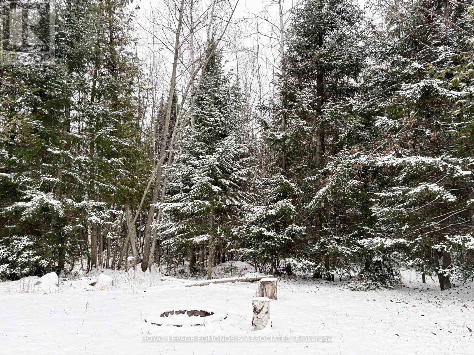 418 Forest Park Road, Laurentian Valley, Ontario  K8A 6W2 - Photo 8 - X12538776