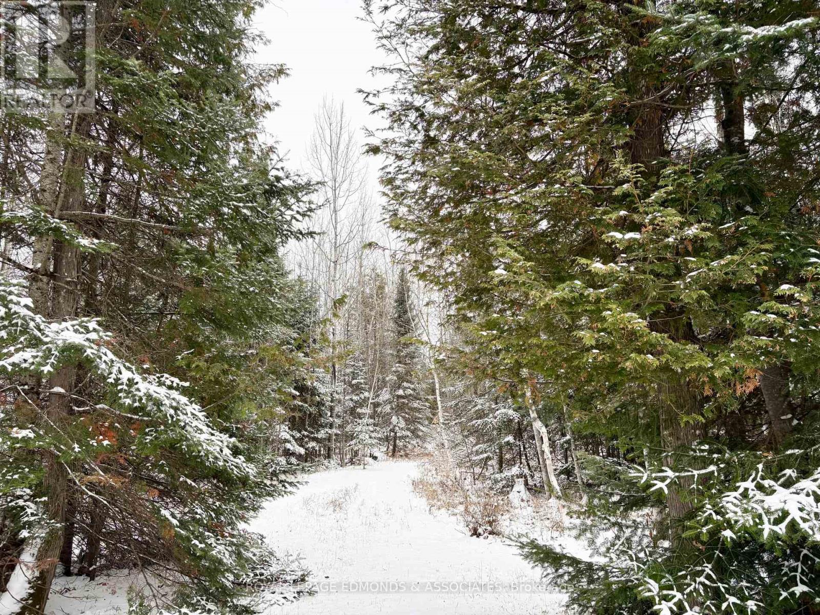 418 Forest Park Road, Laurentian Valley, Ontario  K8A 6W2 - Photo 9 - X12538776