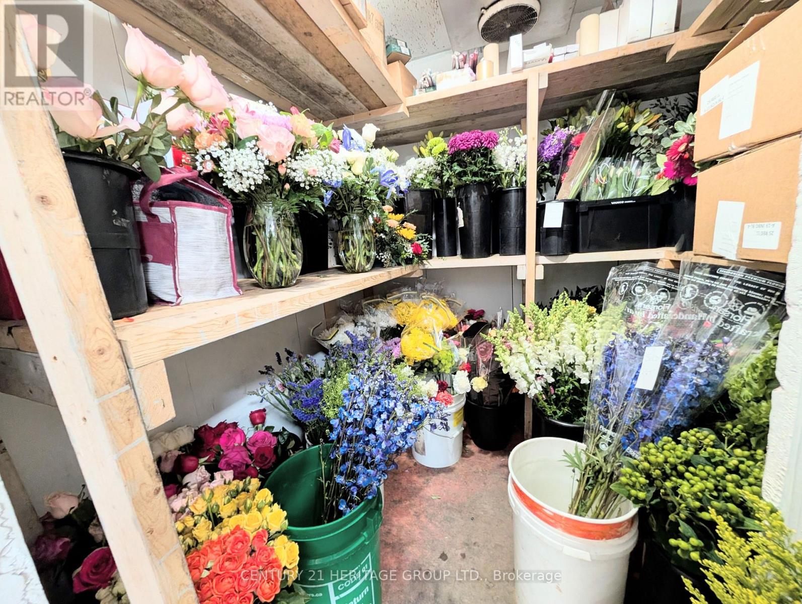 15 Main Street, Newmarket, Ontario  L3Y 3Y1 - Photo 4 - N12846858