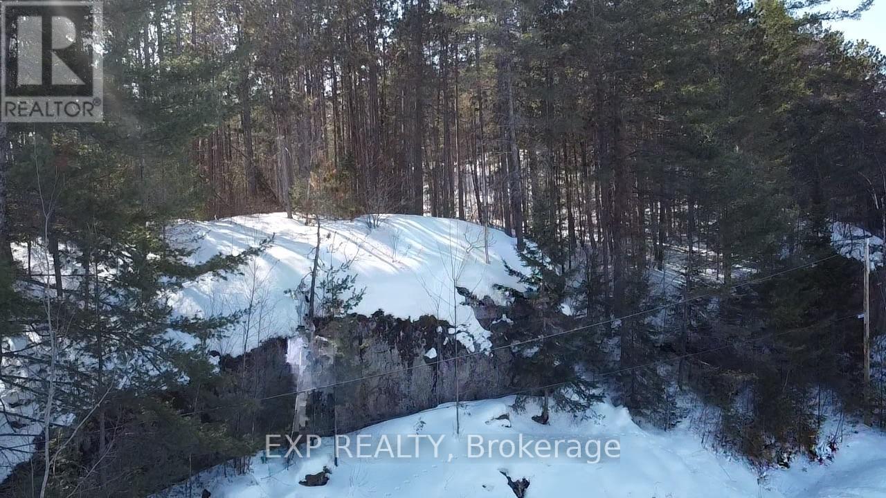 88 Chris Mullin Lane, Madawaska Valley, Ontario  K0J 1B0 - Photo 34 - X12829652