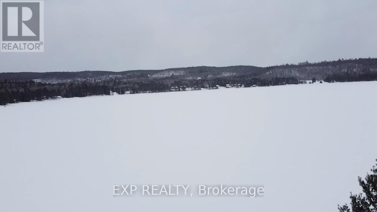 88 Chris Mullin Lane, Madawaska Valley, Ontario  K0J 1B0 - Photo 8 - X12829652