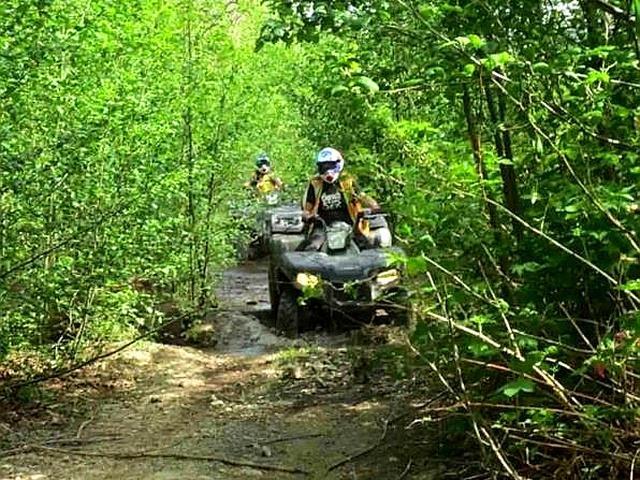 20708 Edelweiss Drive, Agassiz, British Columbia  V0M 1A1 - Photo 18 - R3092304