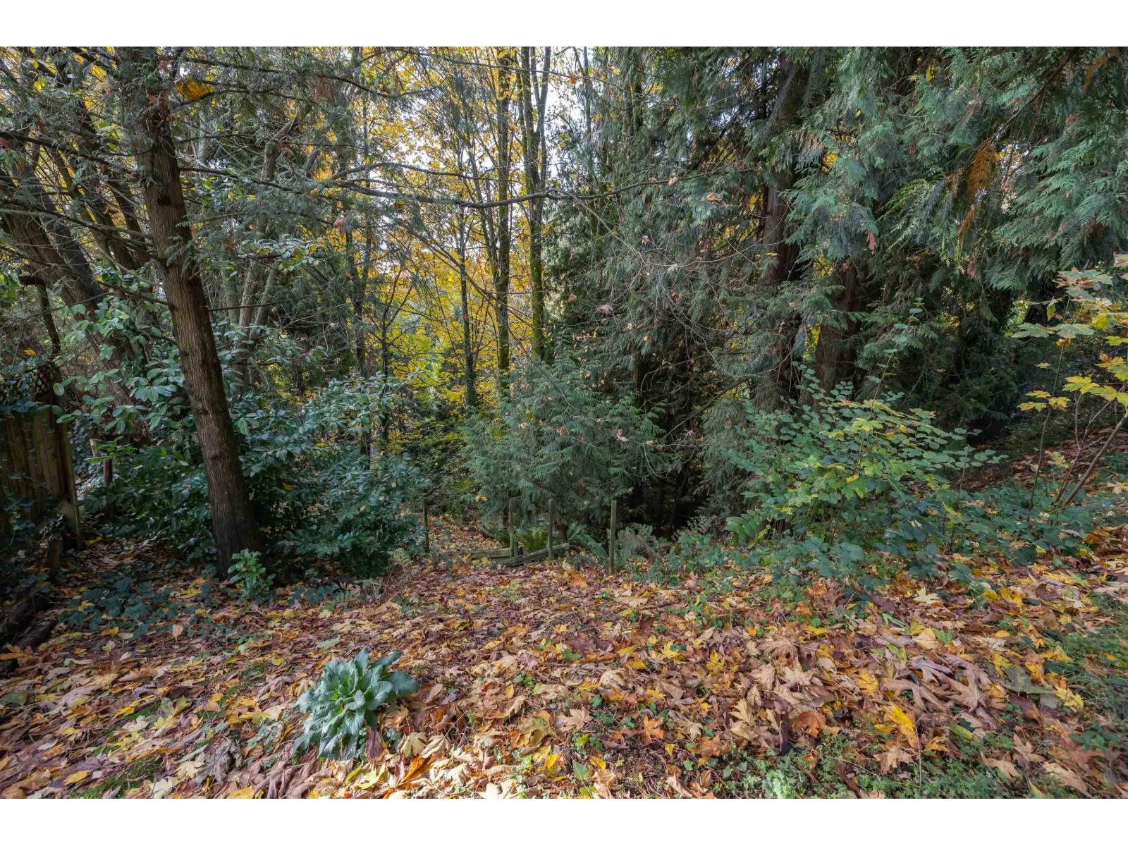 32410 Diamond Avenue, Mission, British Columbia  V2V 1M2 - Photo 32 - R3063720