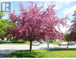 1166 HOMUTH AVENUE, Cambridge, Ontario