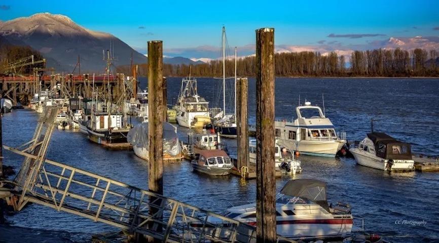 32492 Cherry Avenue, Mission, British Columbia  V2V 2T6 - Photo 40 - R3083296