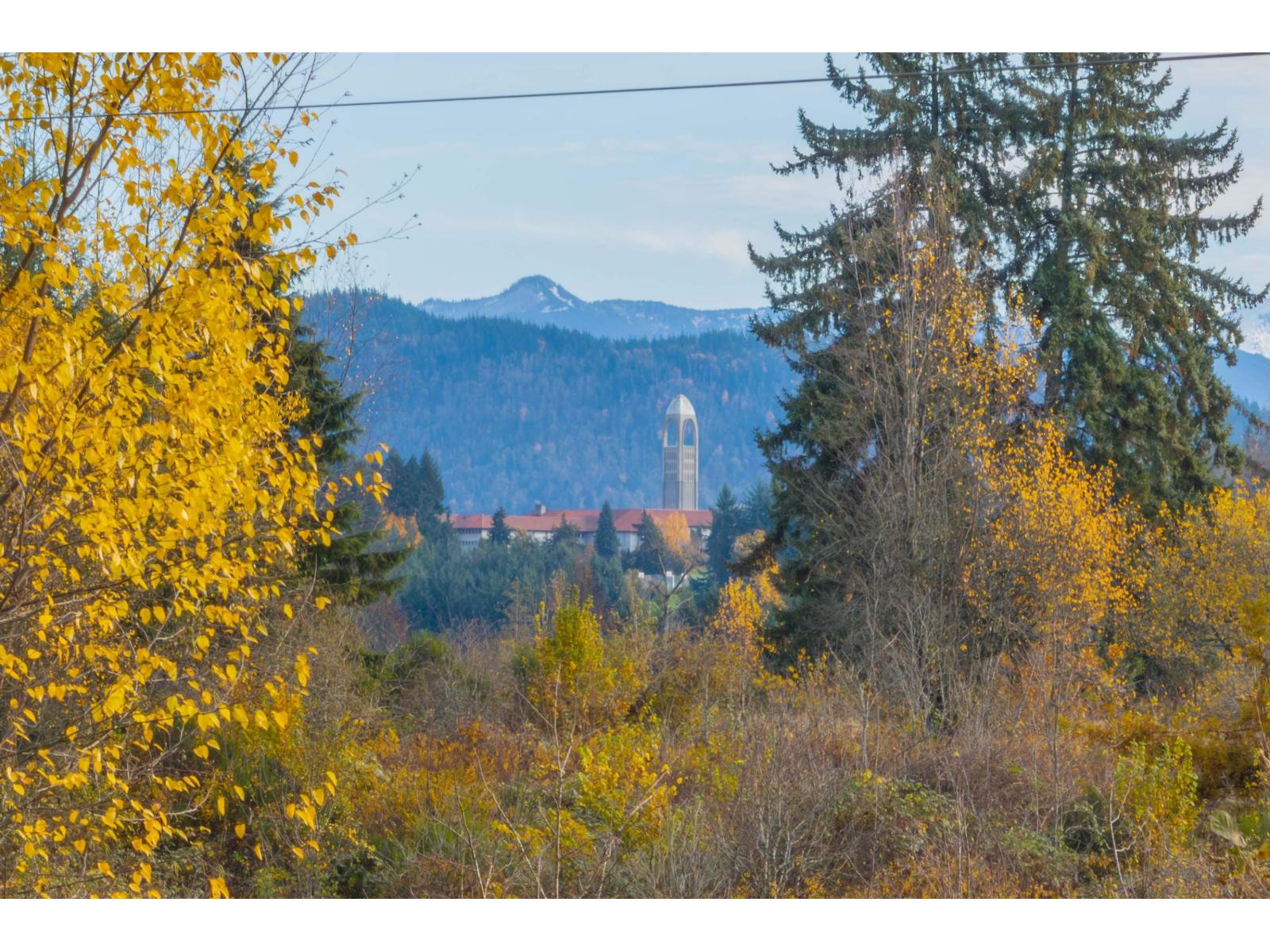 33625 Ferndale Avenue, Mission, British Columbia  V2V 7G4 - Photo 31 - R3077553