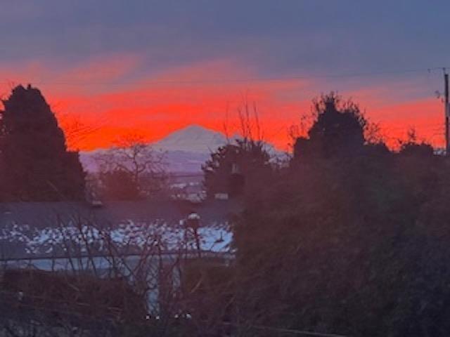 1350 Finlay Street, White Rock, British Columbia  V4B 4L2 - Photo 32 - R3095323