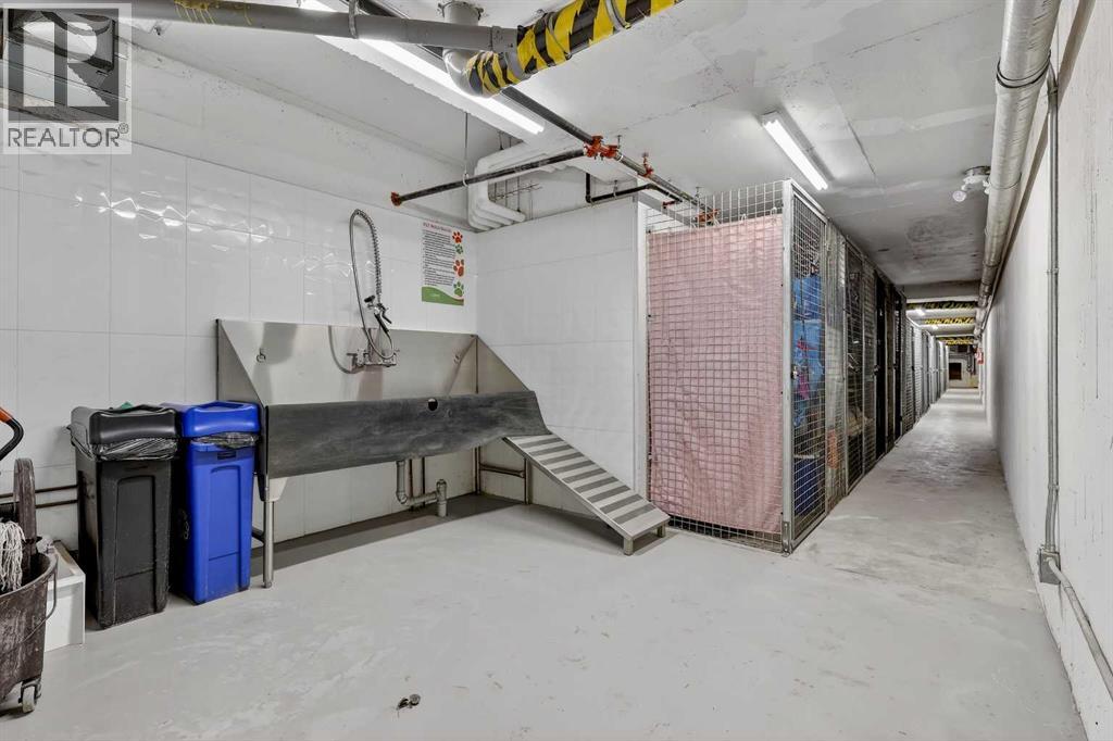 111, 3375 15 Street Sw, Calgary, Alberta  T2T 4A2 - Photo 31 - A2275742