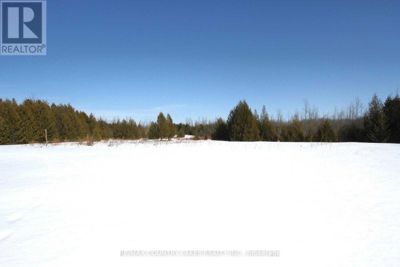 C21973 Brock Road, Brock, Ontario  L0E 1E0 - Photo 33 - N12811628