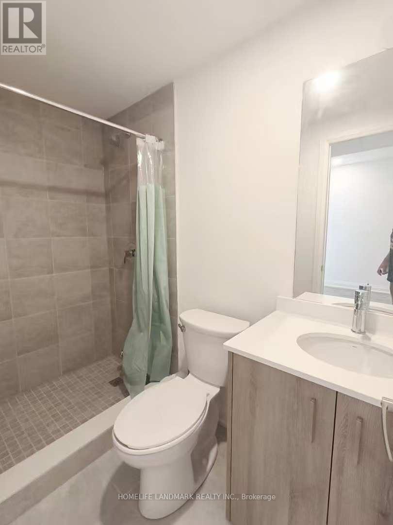 Lower Level - 12 Persica Street, Richmond Hill, Ontario  L4E 1L3 - Photo 6 - N12847108
