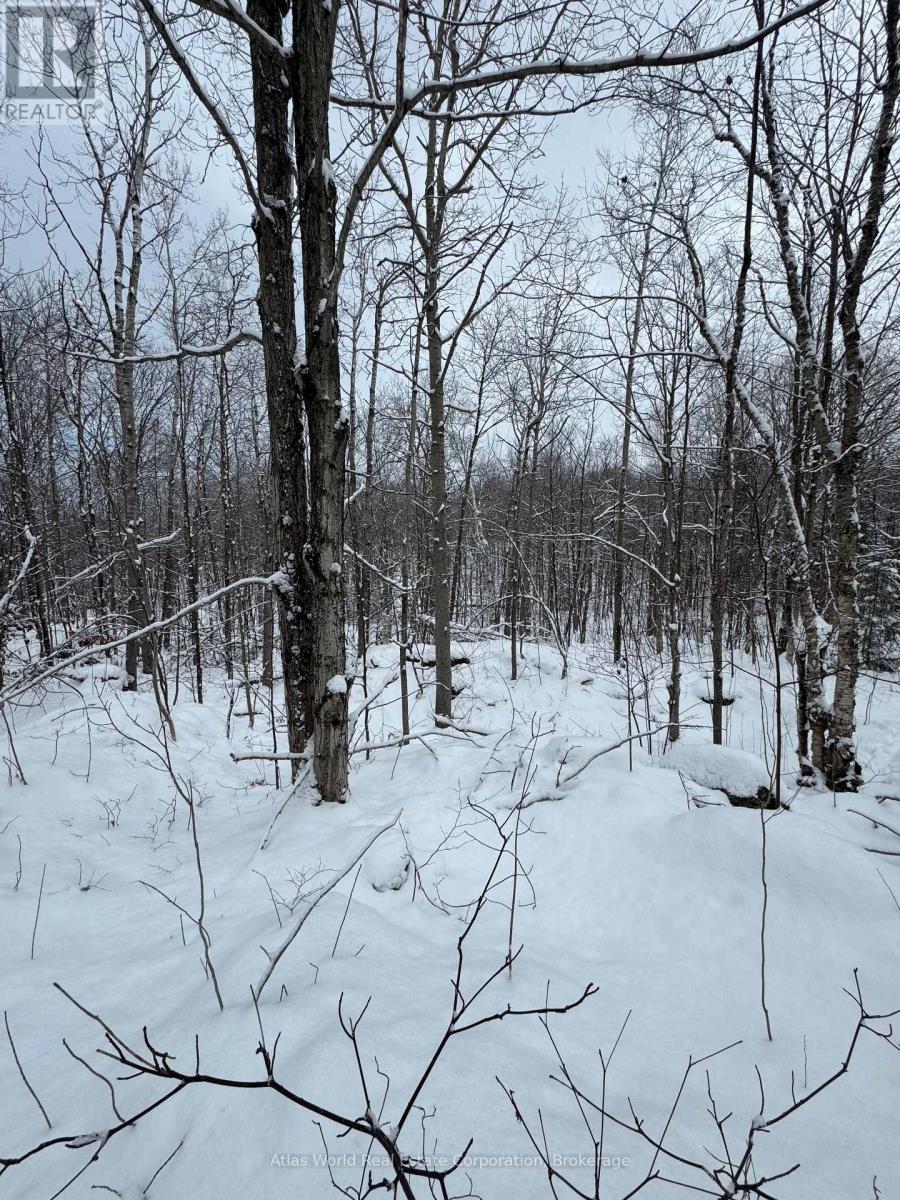 24.521 ACRES 1/4 LOT 11 CONC 7 N, Northern Bruce Peninsula, Ontario