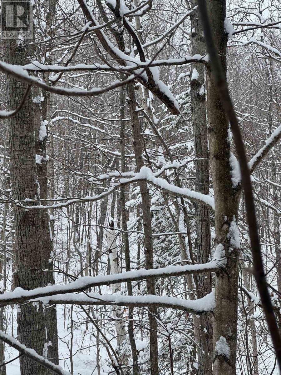 24.521 Acres 1/4 Lot 11 Conc 7 N, Northern Bruce Peninsula, Ontario  N0H 1W0 - Photo 10 - X12847336