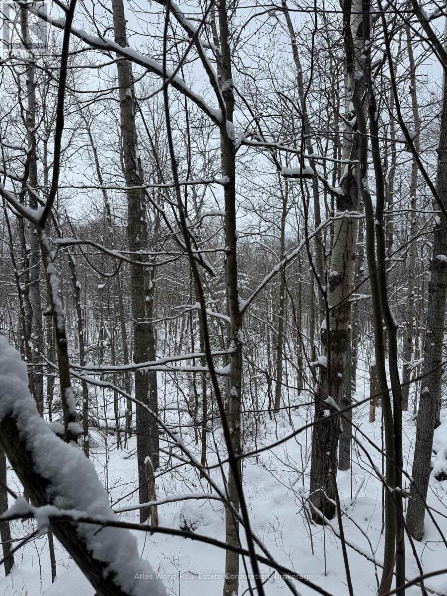 24.521 Acres 1/4 Lot 11 Conc 7 N, Northern Bruce Peninsula, Ontario  N0H 1W0 - Photo 11 - X12847336