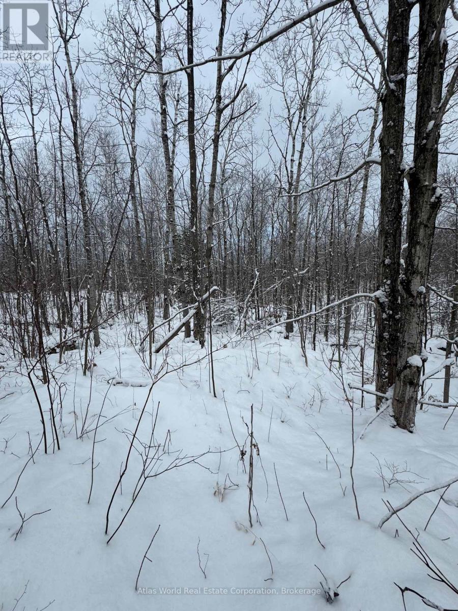 24.521 Acres 1/4 Lot 11 Conc 7 N, Northern Bruce Peninsula, Ontario  N0H 1W0 - Photo 4 - X12847336