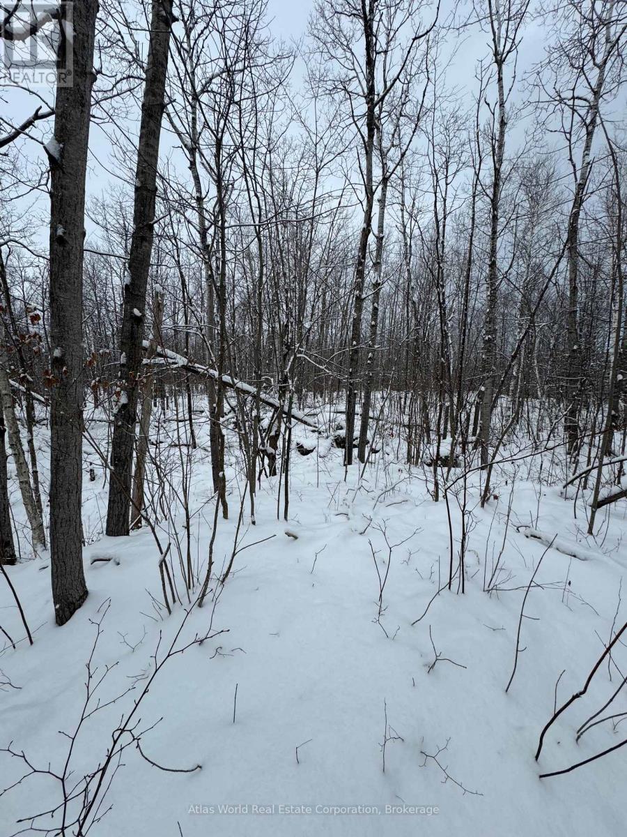 24.521 Acres 1/4 Lot 11 Conc 7 N, Northern Bruce Peninsula, Ontario  N0H 1W0 - Photo 5 - X12847336