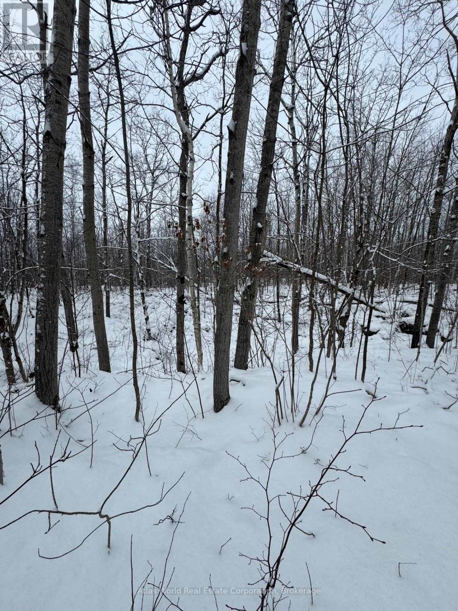 24.521 Acres 1/4 Lot 11 Conc 7 N, Northern Bruce Peninsula, Ontario  N0H 1W0 - Photo 6 - X12847336