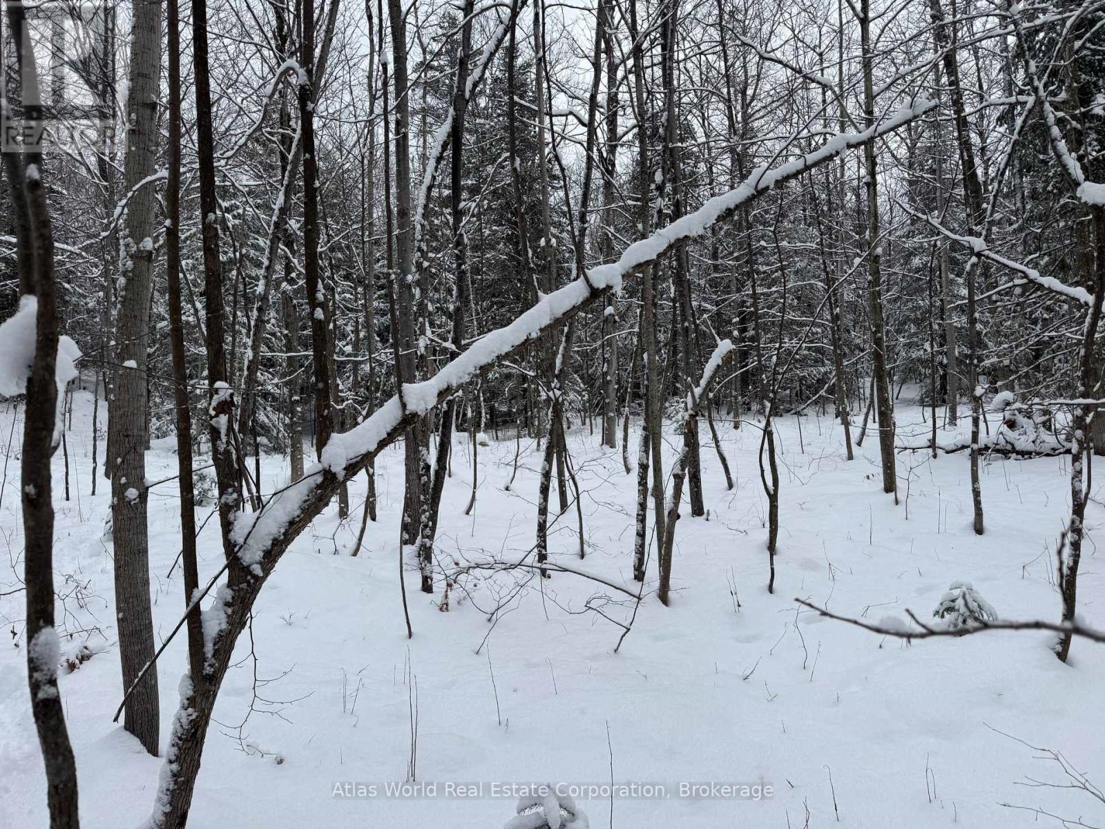 24.521 Acres 1/4 Lot 11 Conc 7 N, Northern Bruce Peninsula, Ontario  N0H 1W0 - Photo 7 - X12847336