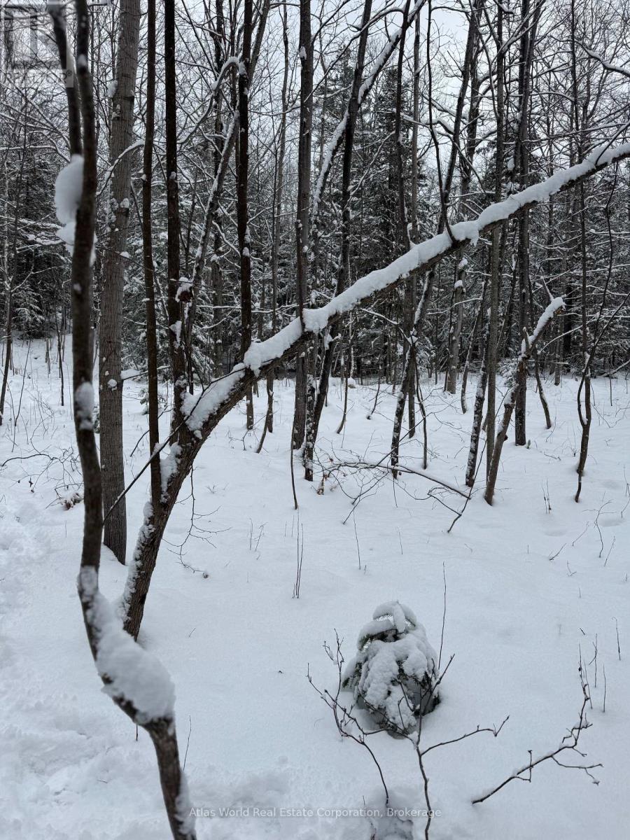 24.521 Acres 1/4 Lot 11 Conc 7 N, Northern Bruce Peninsula, Ontario  N0H 1W0 - Photo 8 - X12847336