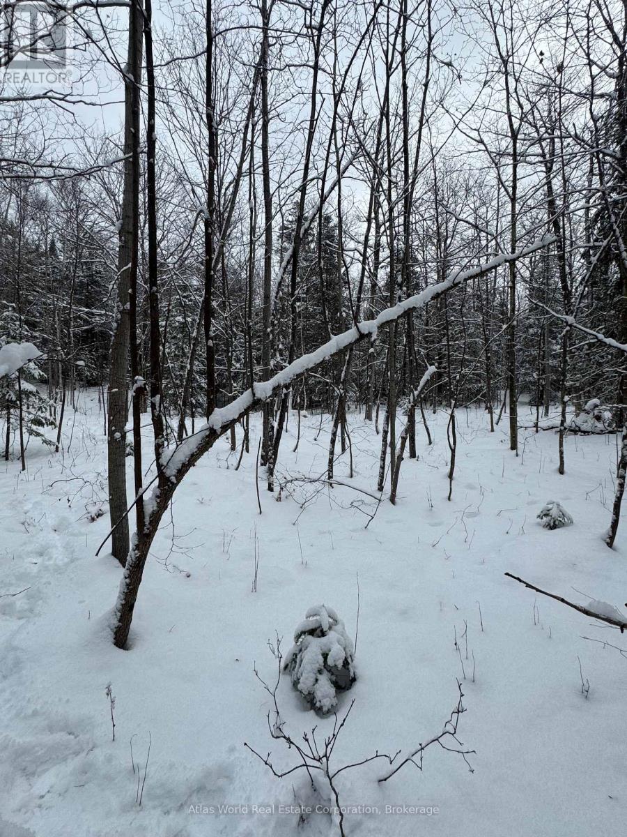 24.521 Acres 1/4 Lot 11 Conc 7 N, Northern Bruce Peninsula, Ontario  N0H 1W0 - Photo 9 - X12847336