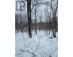 24.521 ACRES 1/4 LOT 11 CONC 7 N, Northern Bruce Peninsula, Ontario