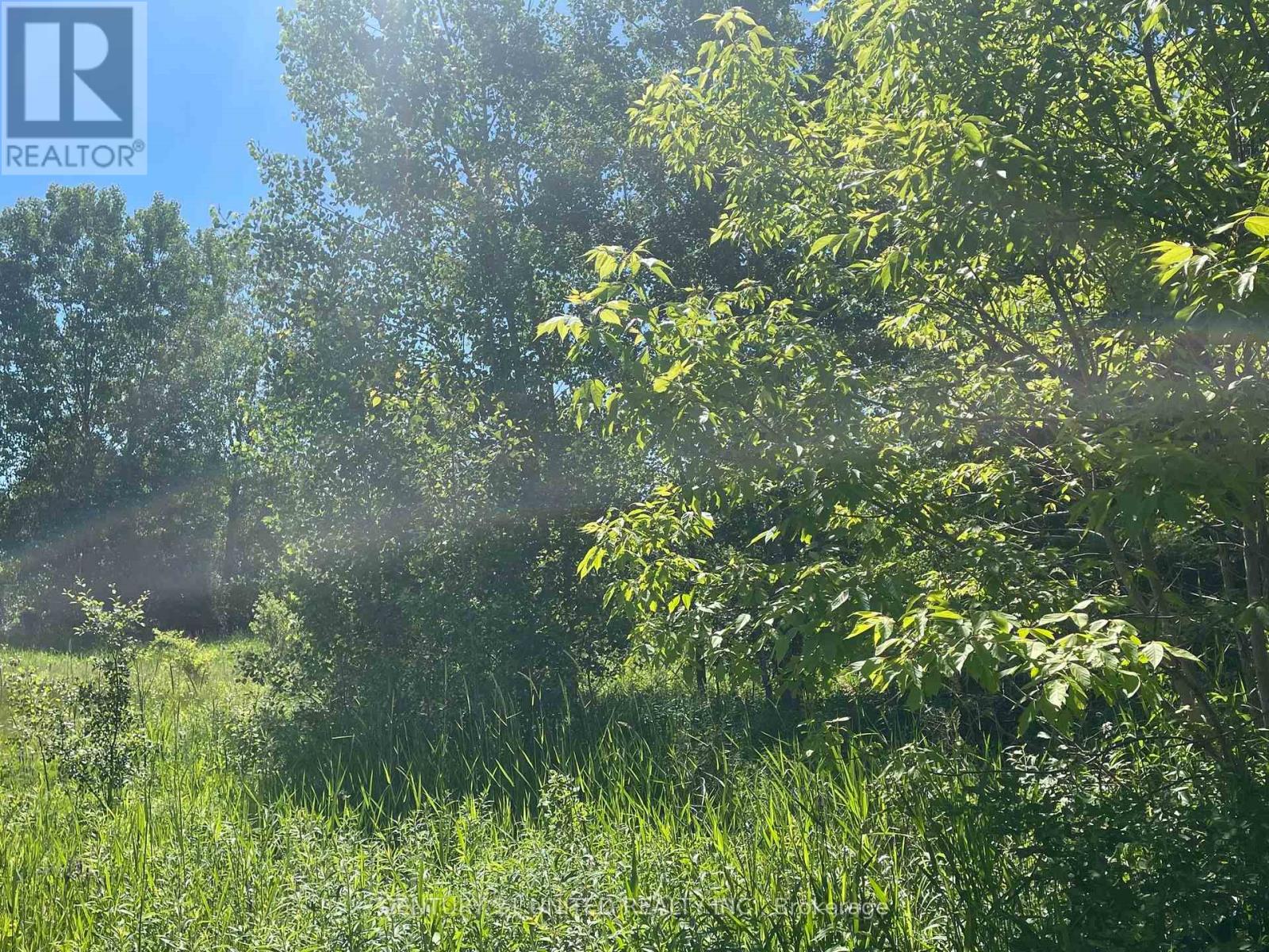 Part Lot 9 Workman Road, Cobourg, Ontario  K9A 4J8 - Photo 7 - X12847422