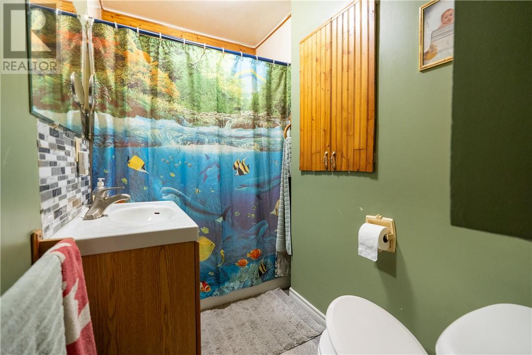 206 Ferndale Avenue, Sudbury, Ontario  P3B 3B9 - Photo 21 - 2126666