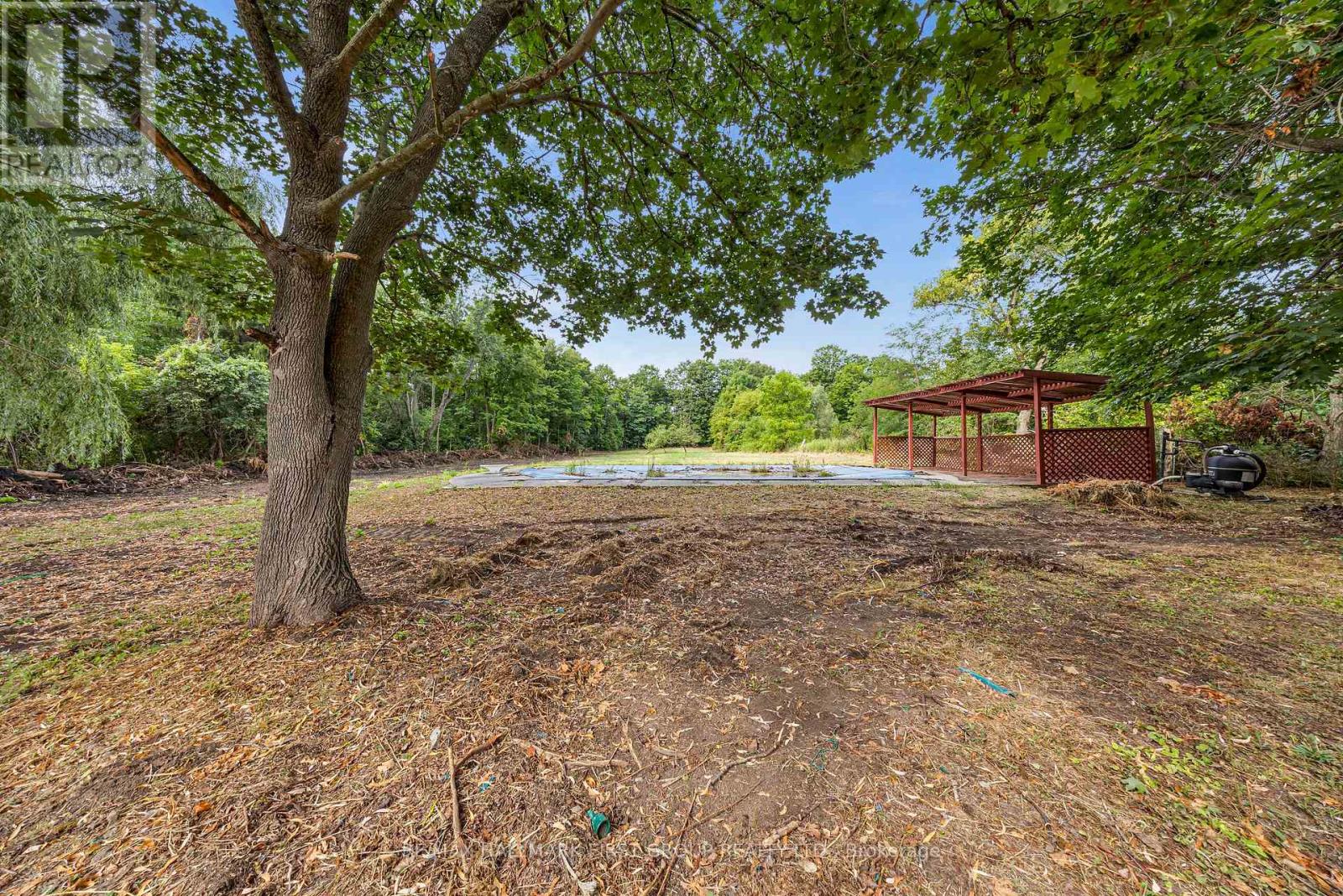 7300 Reesor Road, Markham, Ontario  L6B 1A8 - Photo 32 - N12847324