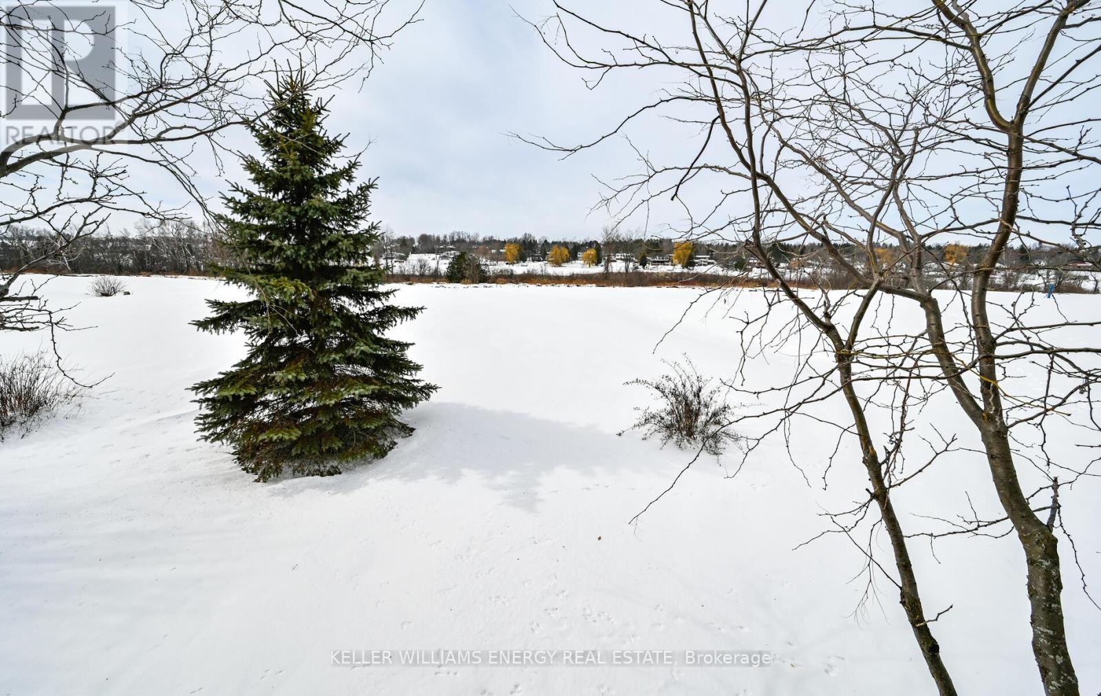 216 Southcrest Drive, Kawartha Lakes, Ontario  L0C 1G0 - Photo 41 - X12847520