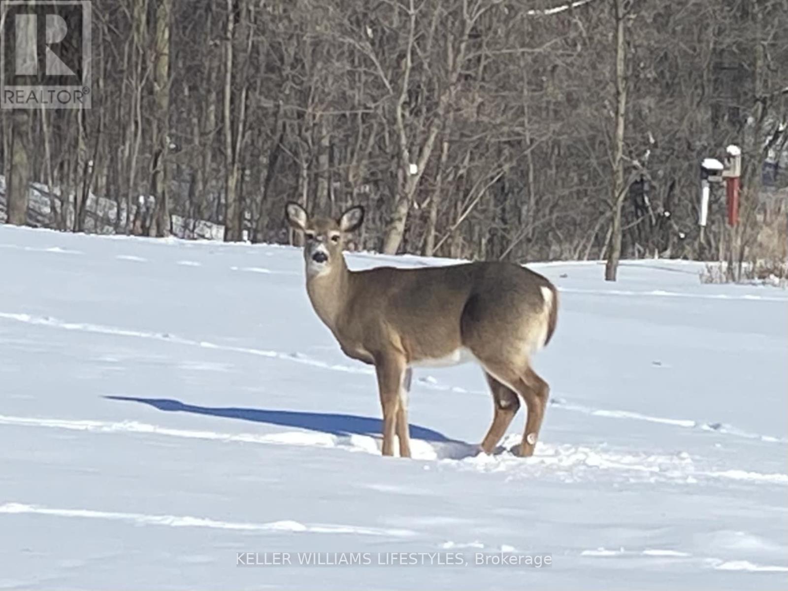 25728 Mcmurchy Line, West Elgin, Ontario  N0L 2P0 - Photo 42 - X12847554