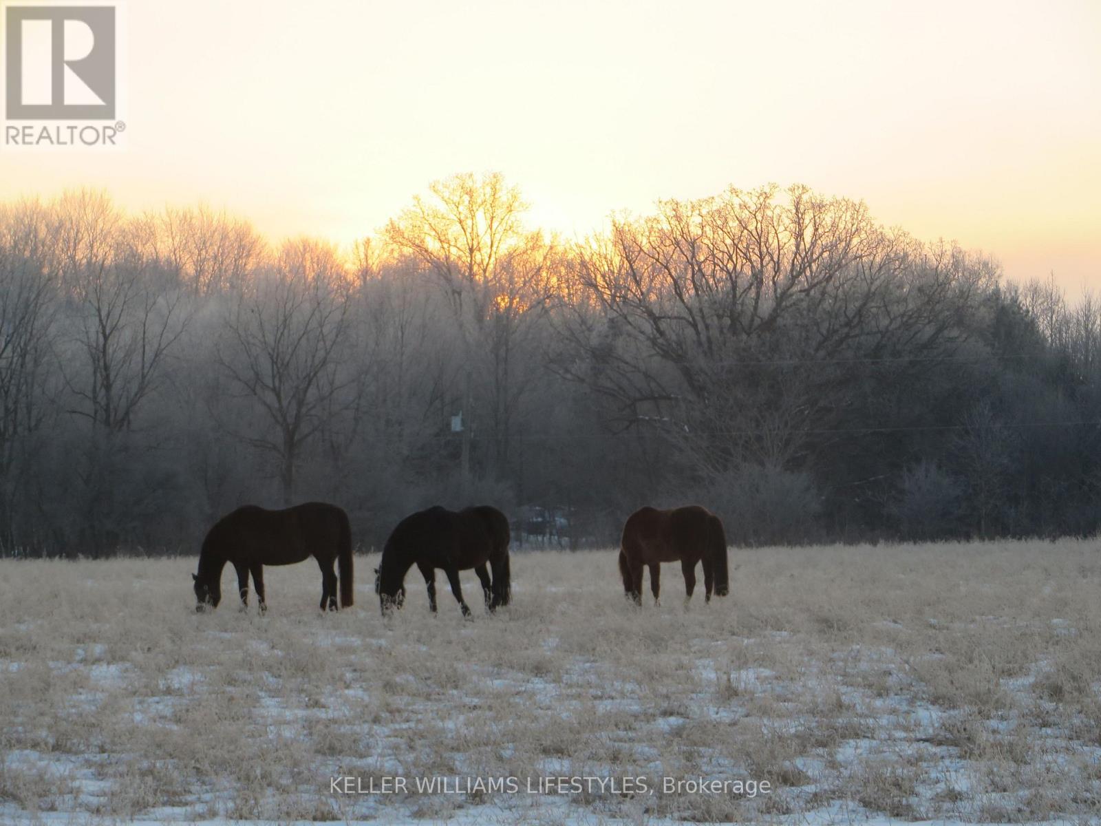 25728 Mcmurchy Line, West Elgin, Ontario  N0L 2P0 - Photo 44 - X12847554