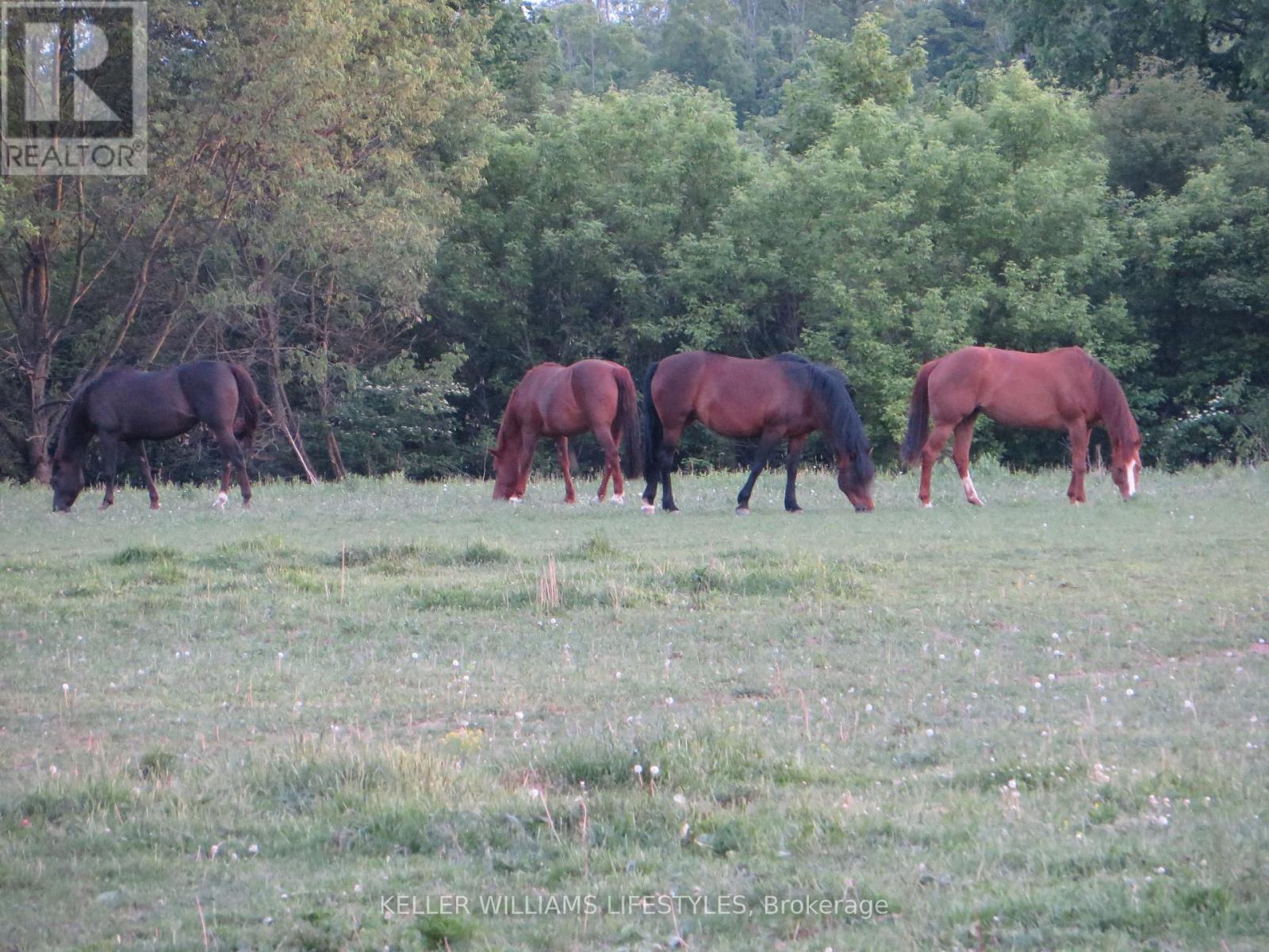 25728 Mcmurchy Line, West Elgin, Ontario  N0L 2P0 - Photo 7 - X12847554