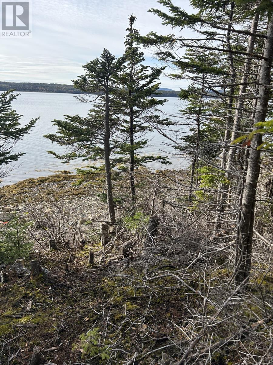 Lot # 05 Smith Sound Road, Harcourt, Newfoundland & Labrador  A5A 3A1 - Photo 3 - 1294947