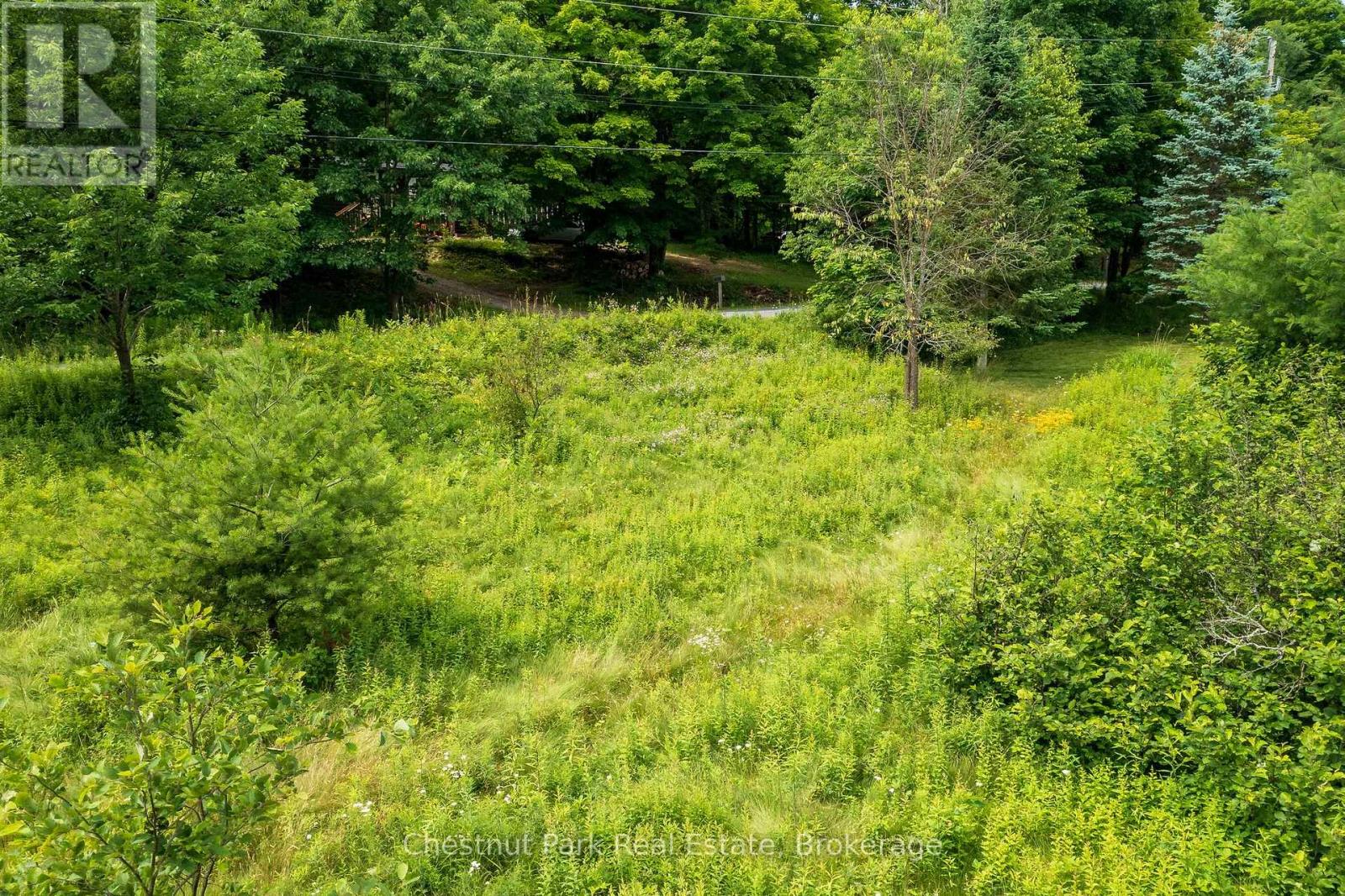 17 Vernon Lane, Huntsville, Ontario  P1H 2J2 - Photo 16 - X12847644