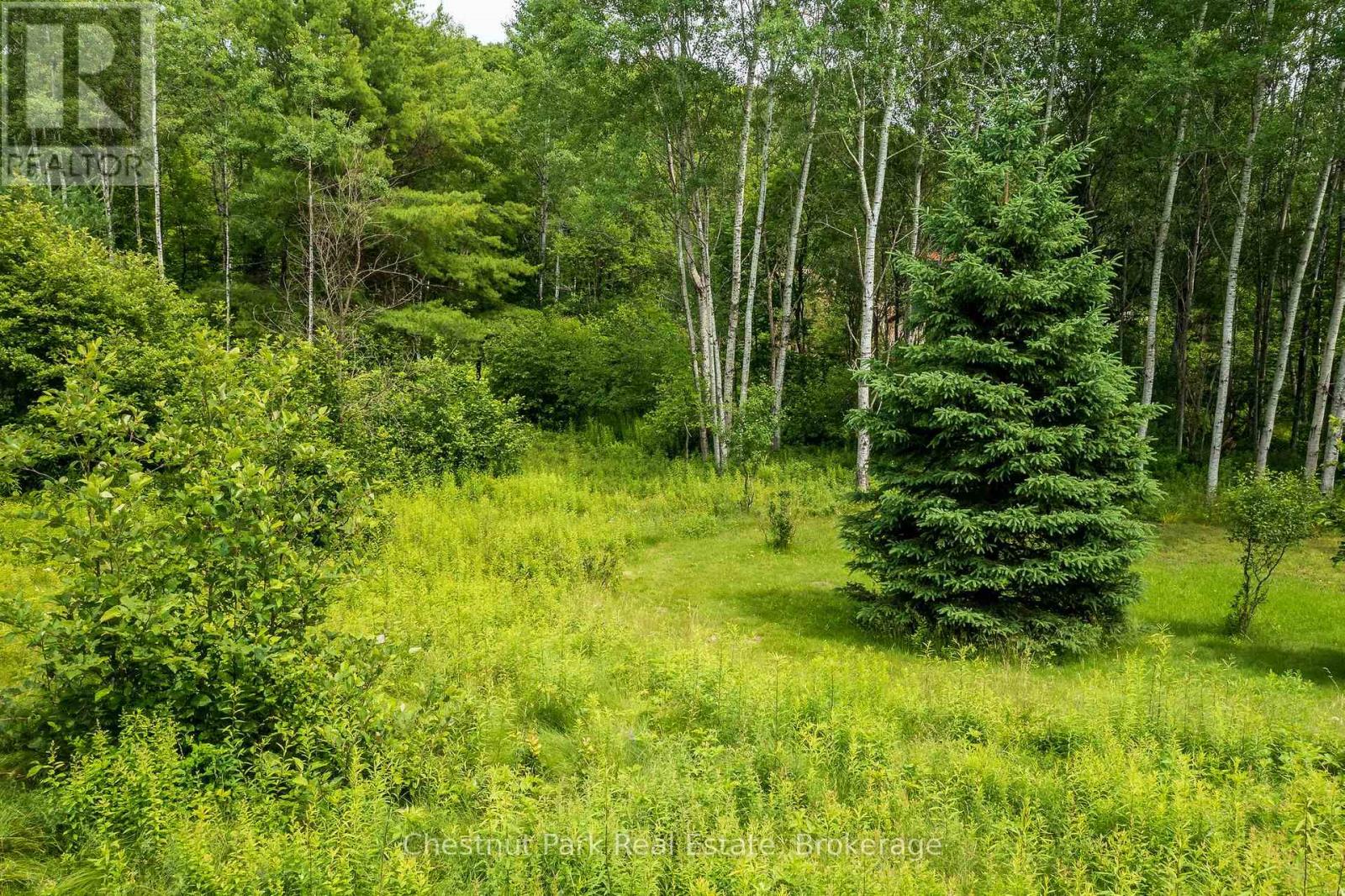 17 Vernon Lane, Huntsville, Ontario  P1H 2J2 - Photo 17 - X12847644