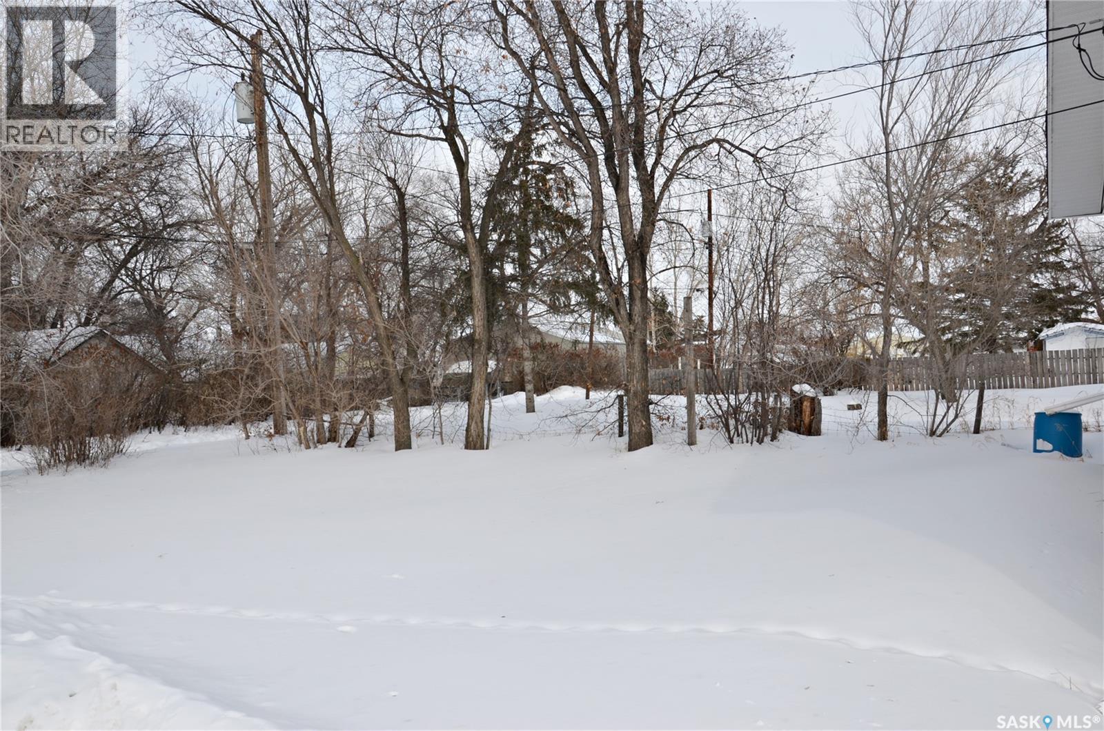 209 Torran Street, Colonsay, Saskatchewan  S0K 0Z6 - Photo 28 - SK029660