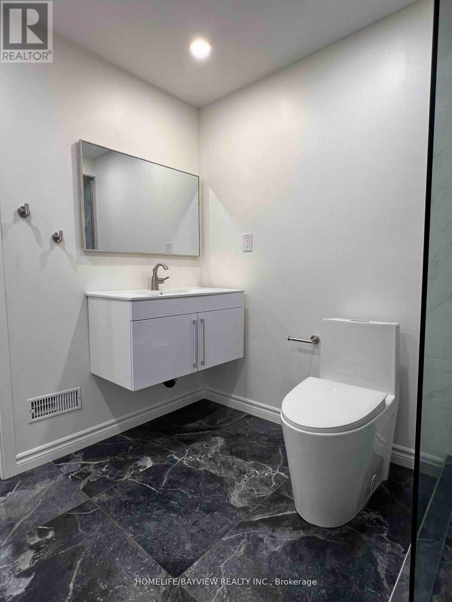 Lower - 136 Pinnacle Trail, Aurora, Ontario  L4G 7G7 - Photo 17 - N12847626