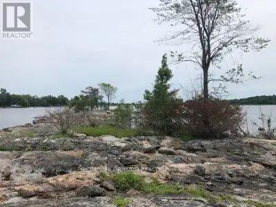 70 Georgian Bay Island, Georgian Bay, Ontario  L0K 1S0 - Photo 13 - X12689292