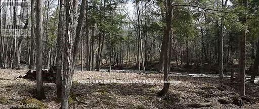 Lot 4 Future Lane S, Stirling-Rawdon, Ontario K0K 2M0 - Photo 3 - X12665492