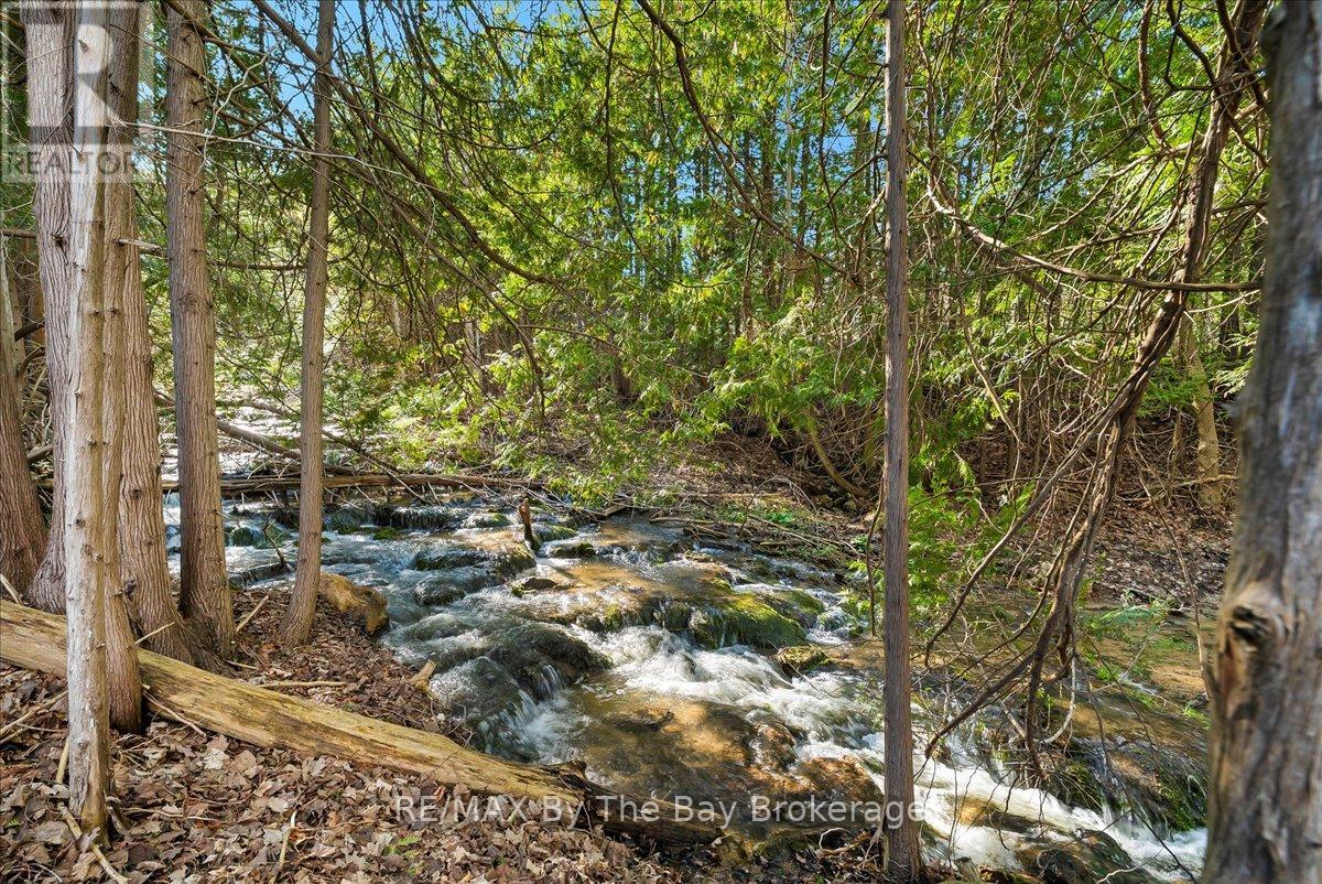 177 Talisman Mountain Drive, Grey Highlands, Ontario  N0C 1G0 - Photo 4 - X12848062