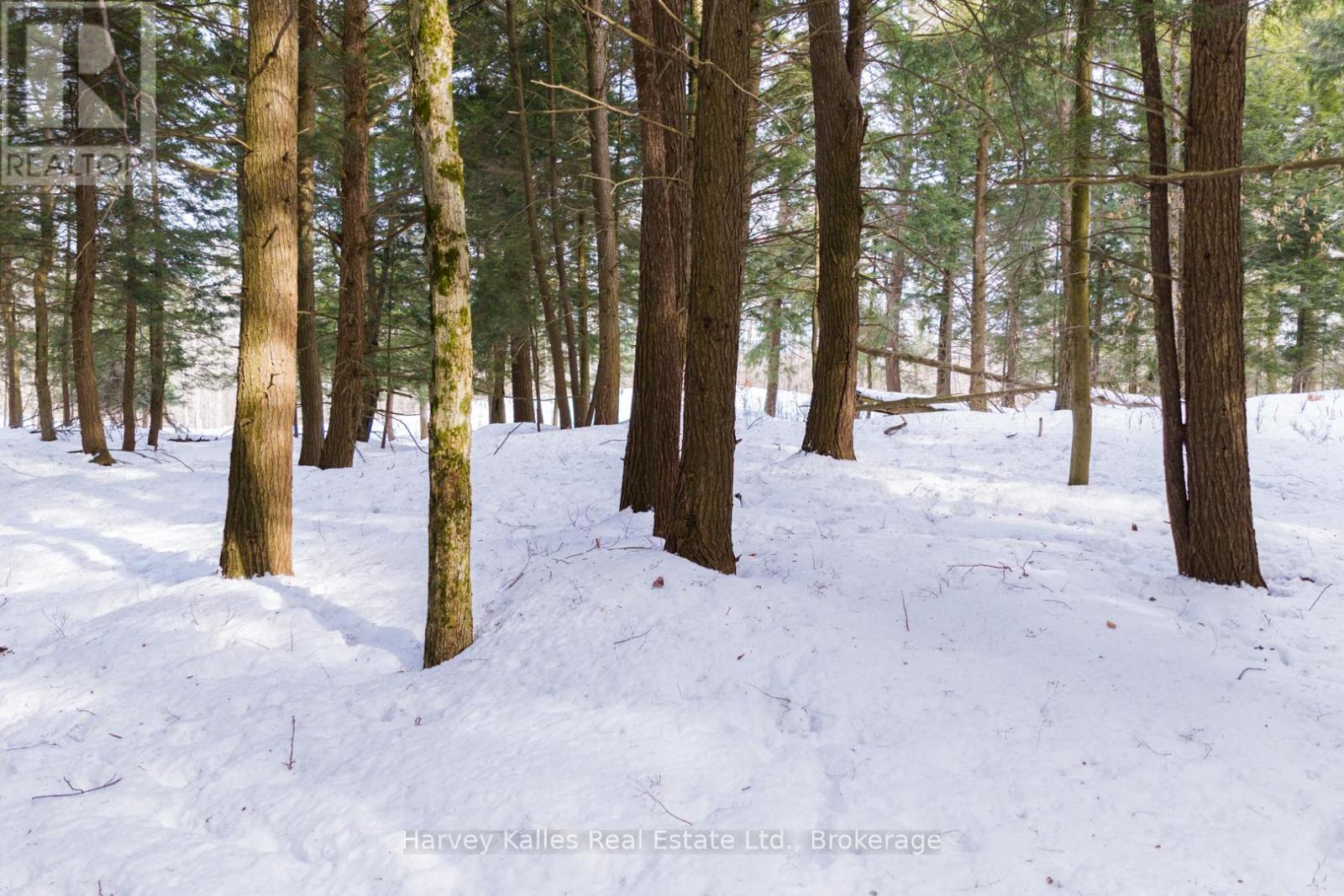 Lot #8 - 38 Gryffin Bluffs Lane, Huntsville, Ontario  P0B 1M0 - Photo 12 - X12848096