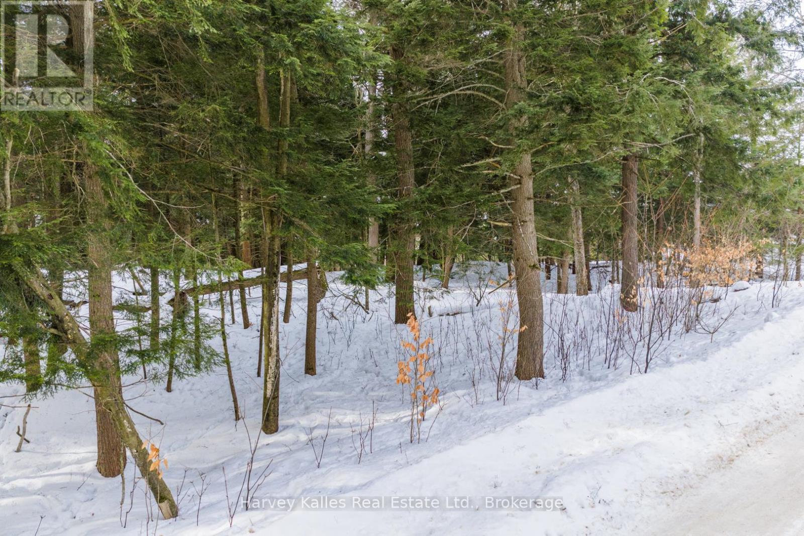 Lot #8 - 38 Gryffin Bluffs Lane, Huntsville, Ontario  P0B 1M0 - Photo 8 - X12848096
