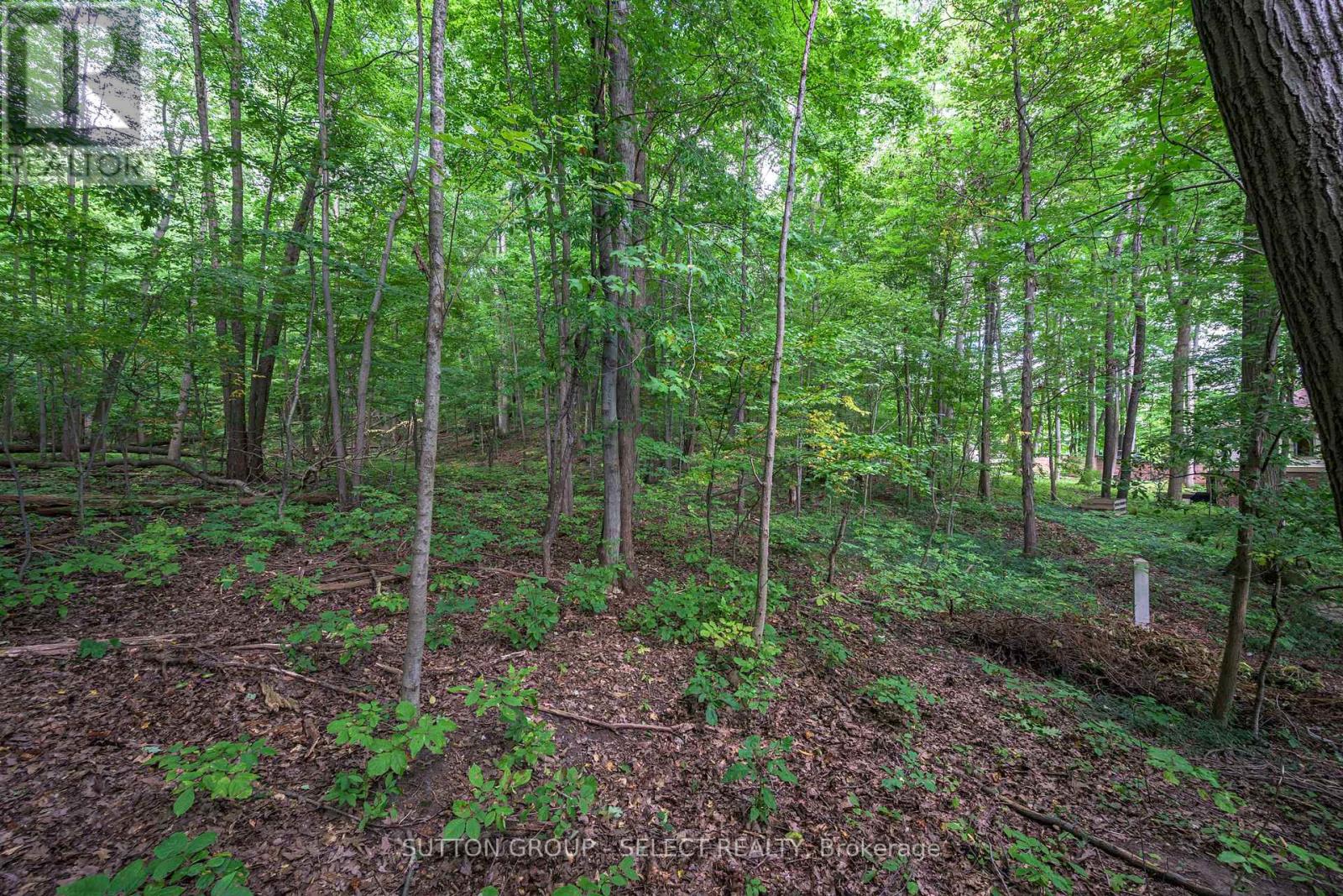 22 Mapleton Place, London South, Ontario  N6K 4A5 - Photo 49 - X12848108