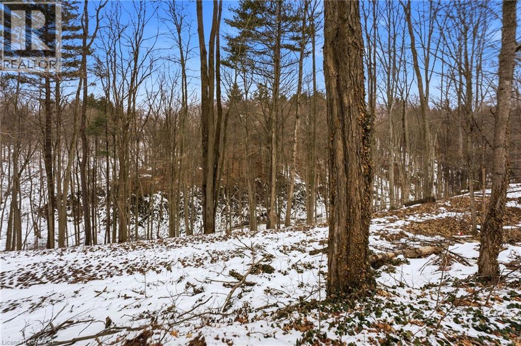 10475 Plank Road, Bayham, Ontario  N0J 1H0 - Photo 34 - 40809417