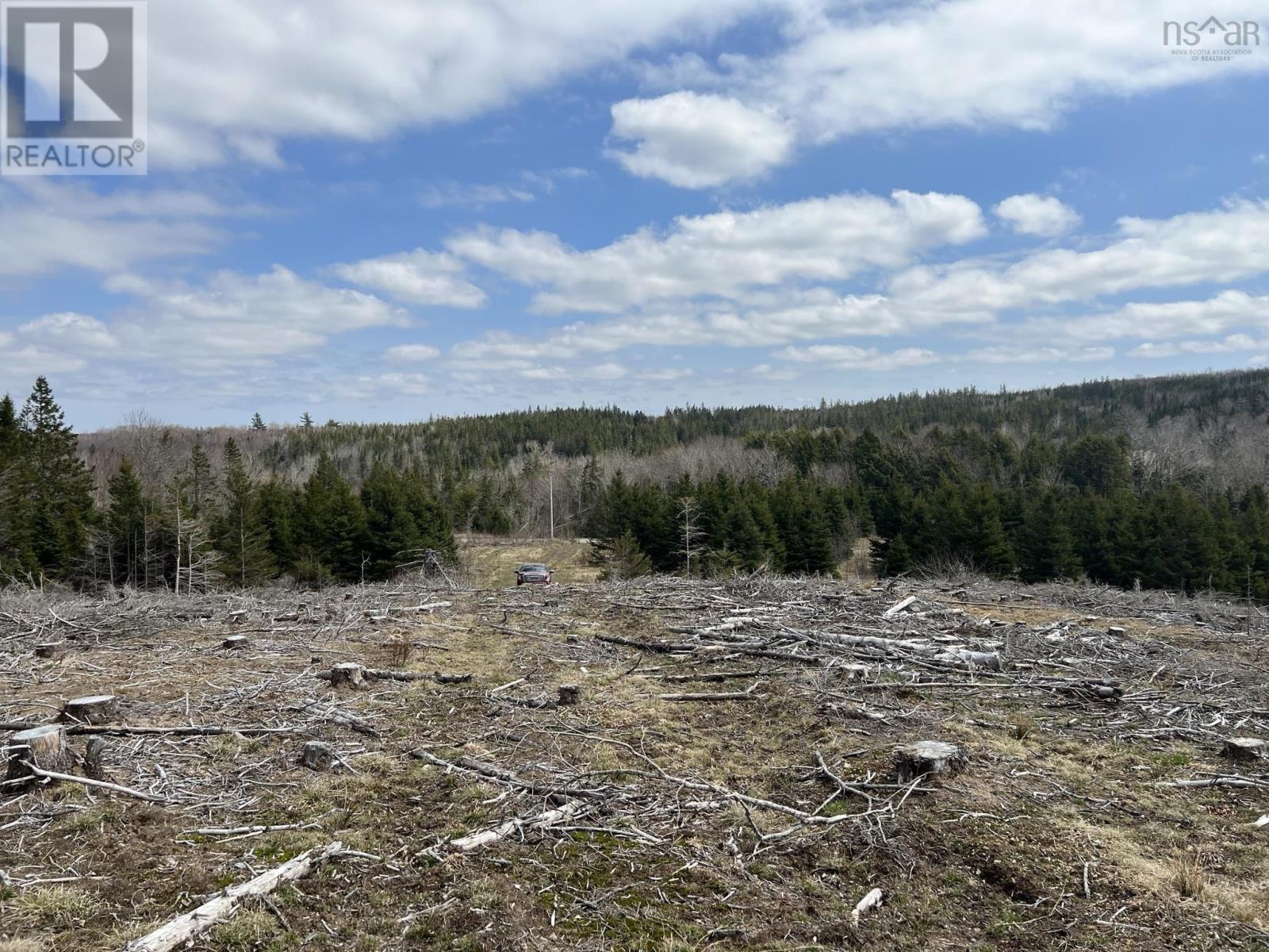 299 Lairg Road, New Lairg, Nova Scotia  B0K 2A0 - Photo 4 - 202307447
