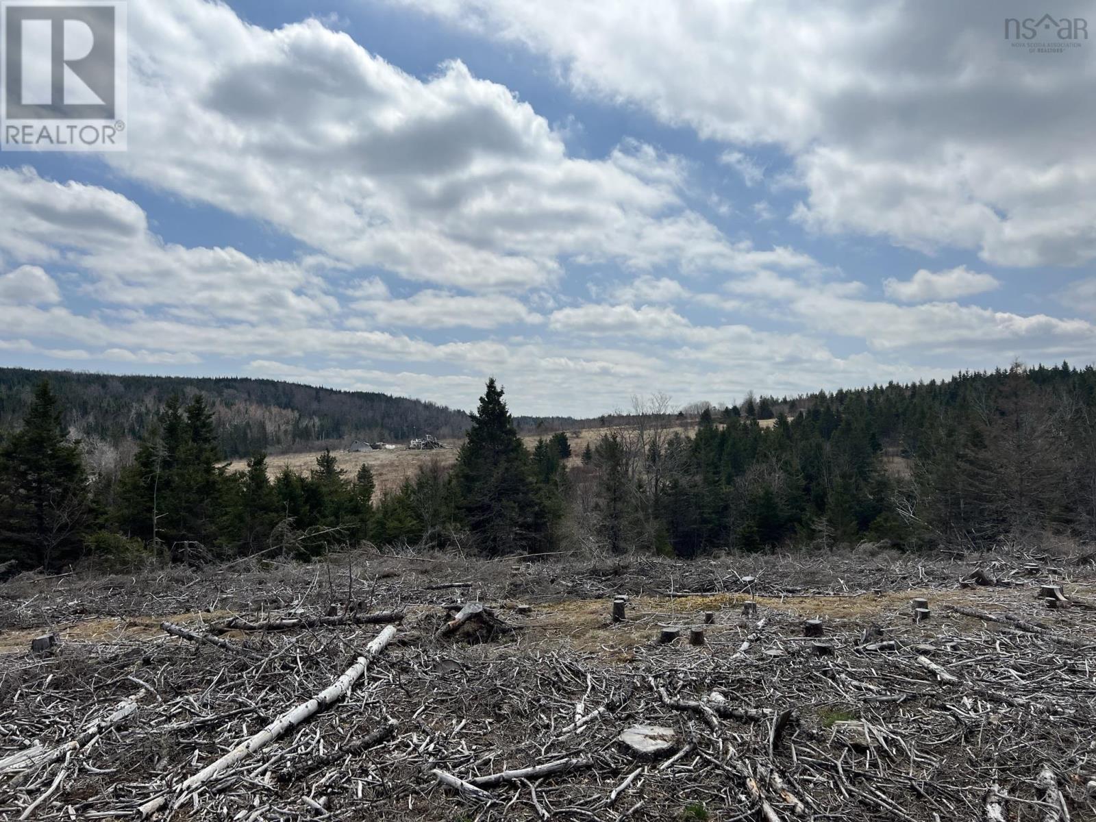 299 Lairg Road, New Lairg, Nova Scotia  B0K 2A0 - Photo 3 - 202307447