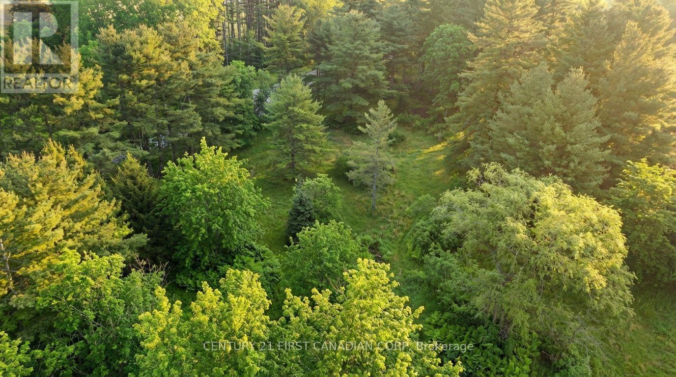 24 Campbell Farm Road, Brant, Ontario  N3T 5L6 - Photo 11 - X12815490