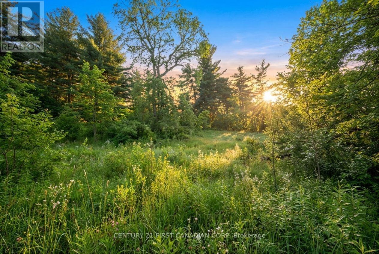 24 Campbell Farm Road, Brant, Ontario  N3T 5L6 - Photo 21 - X12815490