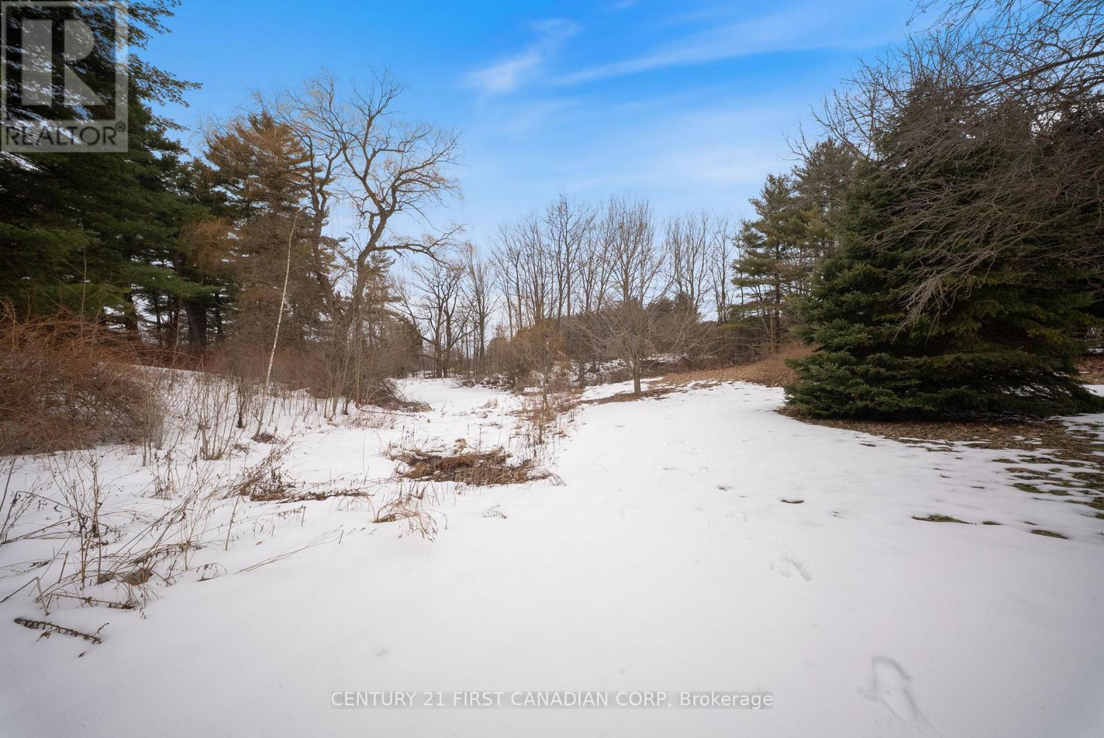 24 Campbell Farm Road, Brant, Ontario  N3T 5L6 - Photo 25 - X12815490